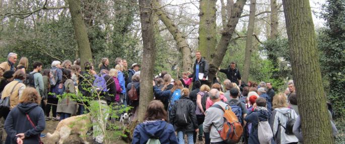 Great North Wood walk - Vicky Bruce