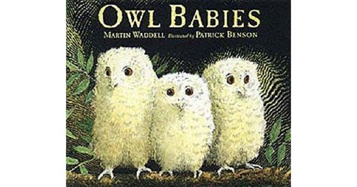 owl%20babies